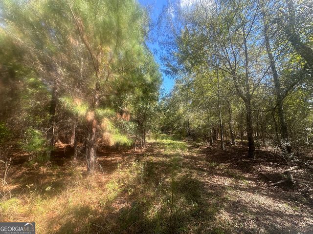 0 Tram Road, Sylvania, GA 30467