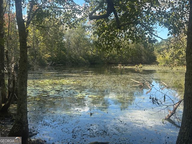 0 Tram Road, Sylvania, GA 30467