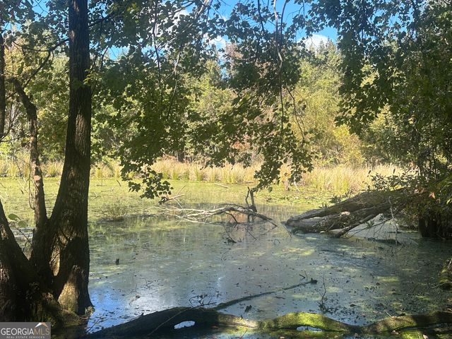 0 Tram Road, Sylvania, GA 30467