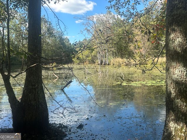 0 Tram Road, Sylvania, GA 30467