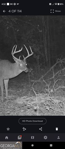 0 Tram Road, Sylvania, GA 30467