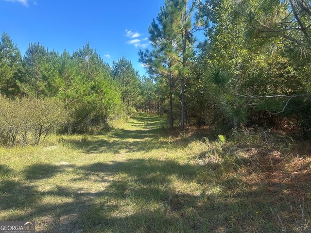 0 Tram Road, Sylvania, GA 30467