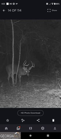 0 Tram Road, Sylvania, GA 30467