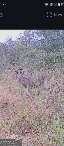 0 Tram Road, Sylvania, GA 30467