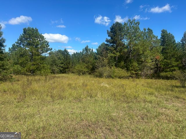 0 Tram Road, Sylvania, GA 30467