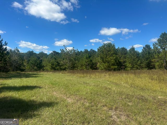 0 Tram Road, Sylvania, GA 30467