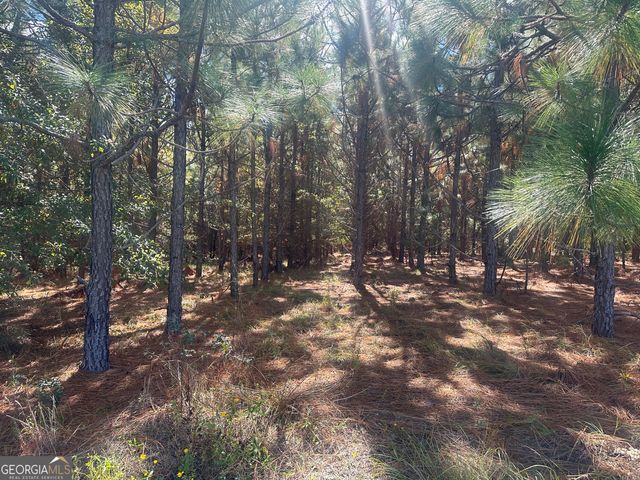 0 Tram Road, Sylvania, GA 30467