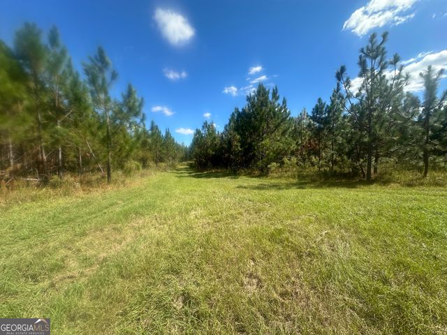 0 Tram Road, Sylvania, GA 30467