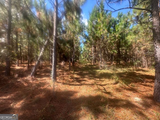 0 Tram Road, Sylvania, GA 30467