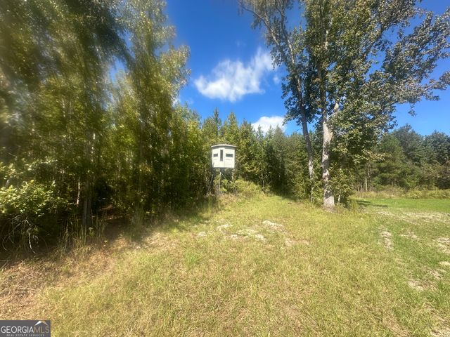 0 Tram Road, Sylvania, GA 30467