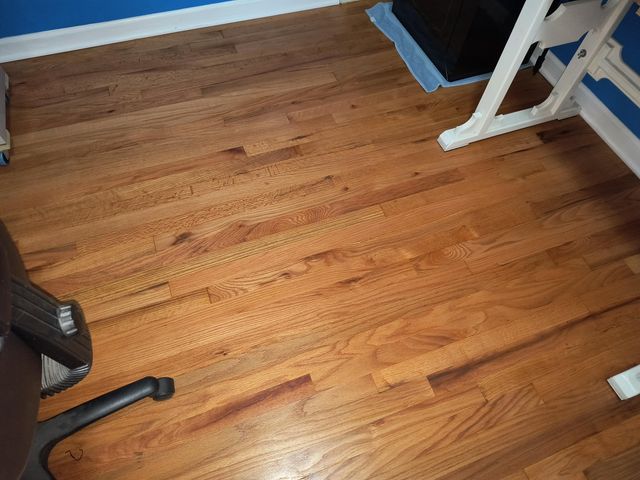 24252 Johnston Avenue, Eastpointe City, MI 48021