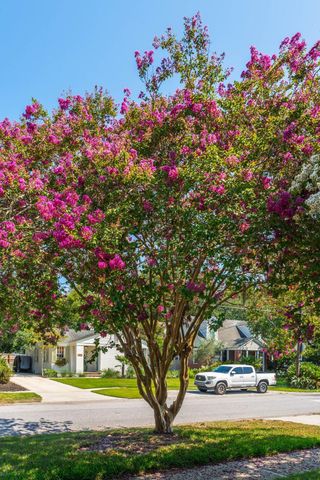 29 Campbell Drive, Charleston, SC 29407
