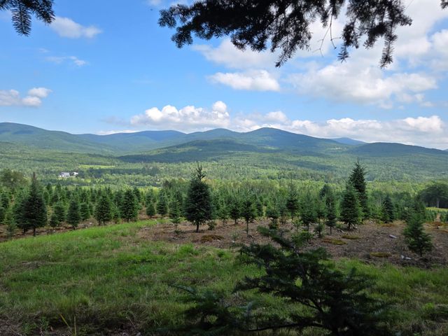 374 Crank Road, Bloomfield, VT 05905