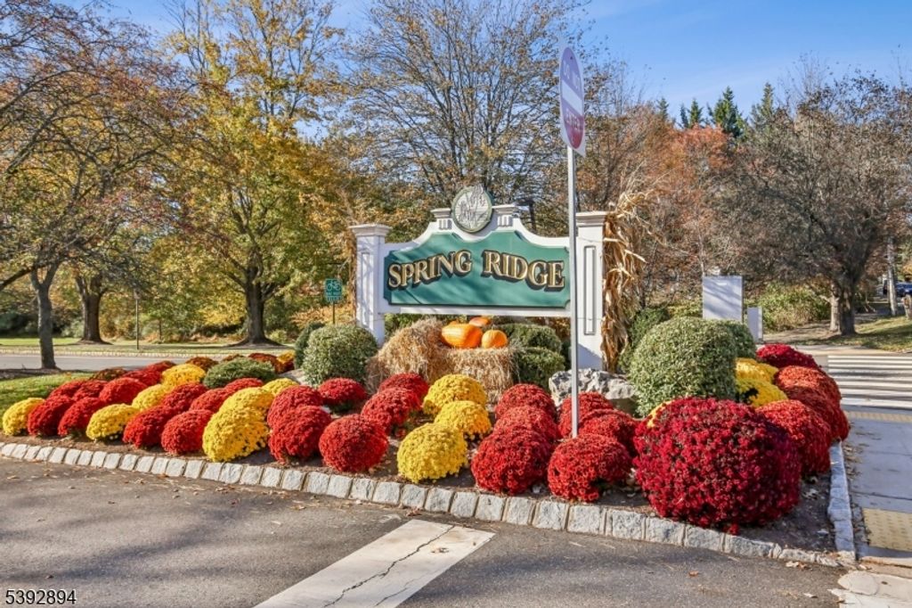 155 Jamestown Rd, Bernards Twp., NJ 07920