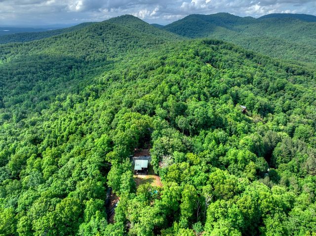 782 Scenic Mountain View Road, Blue Ridge, GA 30513