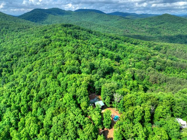 782 Scenic Mountain View Road, Blue Ridge, GA 30513