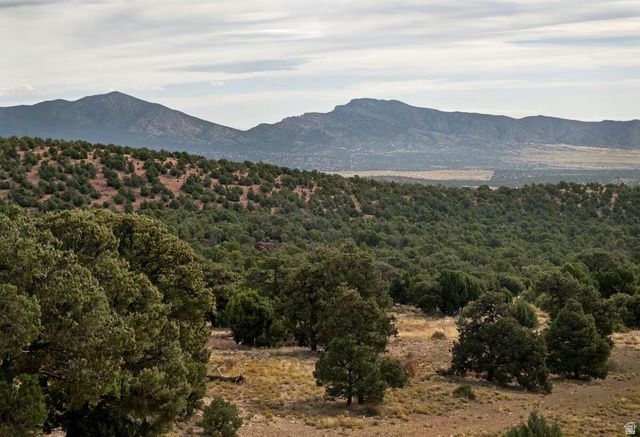 23886 N 6450 E, Cedar City, UT 84720