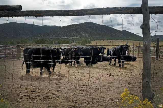 23886 N 6450 E, Cedar City, UT 84720