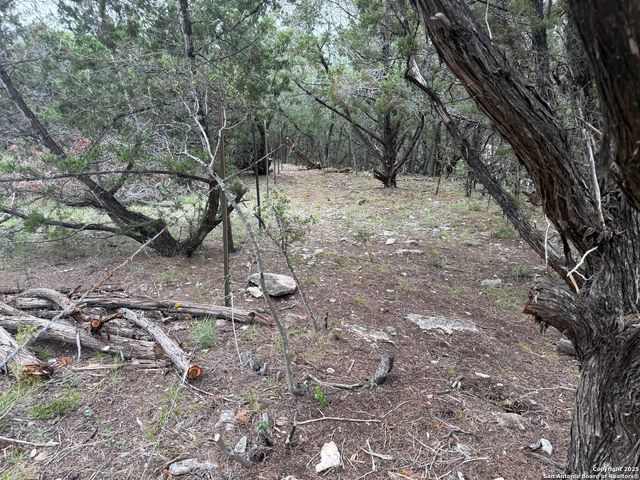 1430 Circle Acres, Bulverde, TX 78163