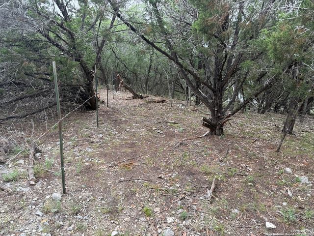 1430 Circle Acres, Bulverde, TX 78163