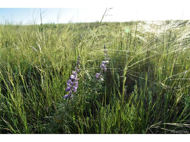 9545 N Yoder Rd, Calhan, CO 80808