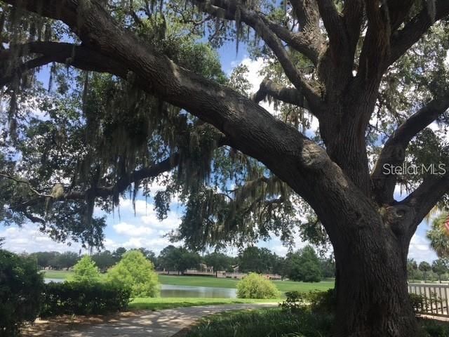 1215 PANAMA PLACE, Lady Lake, FL 32159