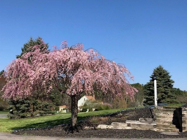 25 Autumn Rd, Wrentham, MA 02093