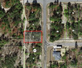 10346 N Spaulding Drive, Citrus Springs, FL 34433