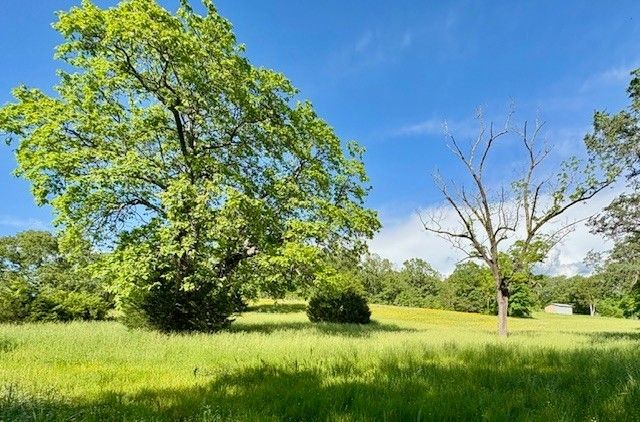 1012 Topsy Store Rd, Waynesboro, TN 38485