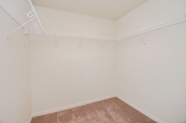 2037 Mule Ridge Drive, Katy, TX 77493