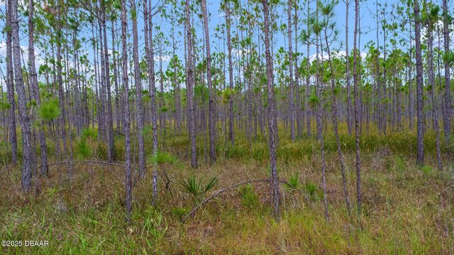 1 Boice Lane, Ormond Beach, FL 32174