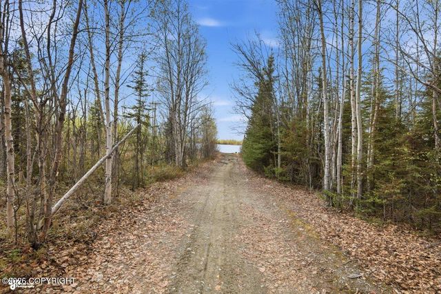 16376 W Little Beaver Lake Access, Big Lake, AK 99652