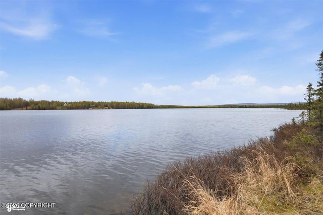 16376 W Little Beaver Lake Access, Big Lake, AK 99652