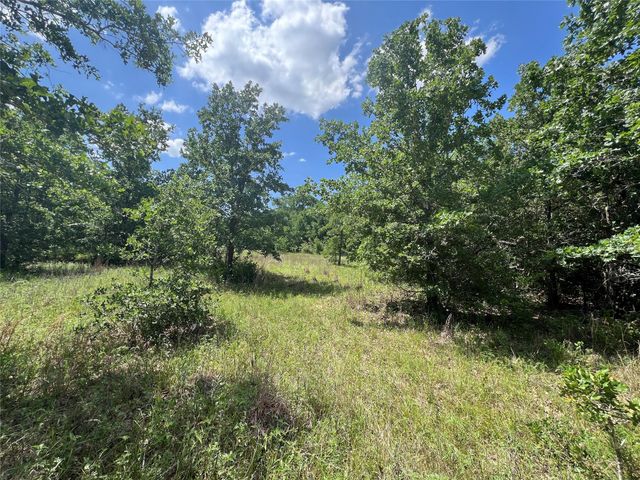 0012 Fm 2562 And Cr 218 Road, Anderson, TX 77830