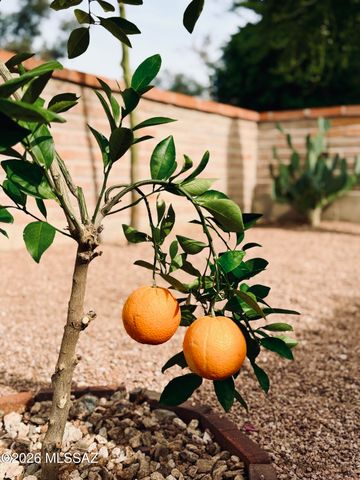 8449 N Via Tioga, Tucson, AZ 85704