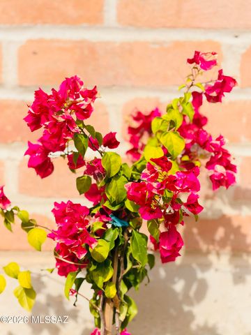 8449 N Via Tioga, Tucson, AZ 85704