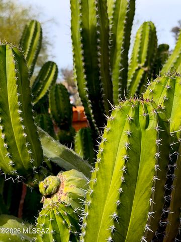 8449 N Via Tioga, Tucson, AZ 85704