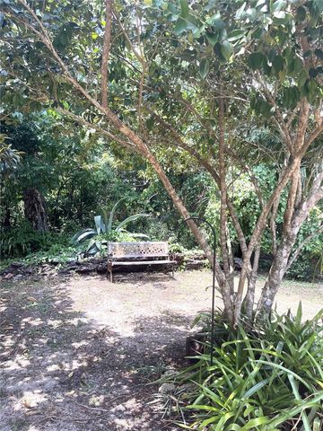 17847 COUNTY ROAD 455, Clermont, FL 34715