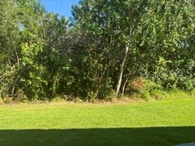 11253 WINDSOR PLACE CIRCLE, Tampa, FL 33626