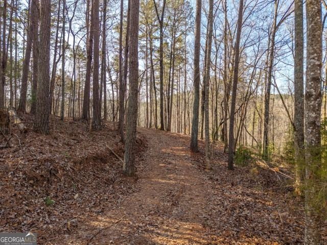 1665 Hunter Drive 42, Talking Rock, GA 30175