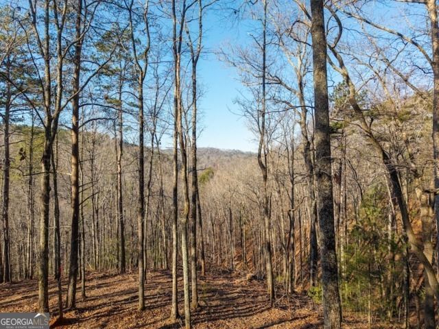 1665 Hunter Drive 42, Talking Rock, GA 30175