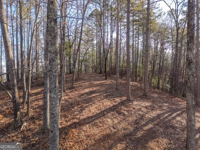 1665 Hunter Drive 42, Talking Rock, GA 30175