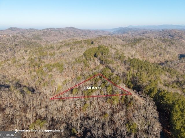 1665 Hunter Drive 42, Talking Rock, GA 30175