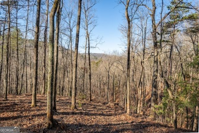 1665 Hunter Drive 42, Talking Rock, GA 30175