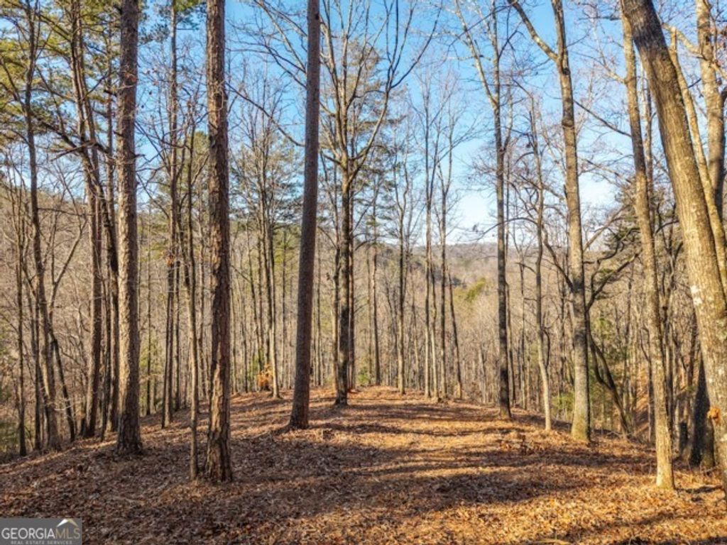 1665 Hunter Drive 42, Talking Rock, GA 30175