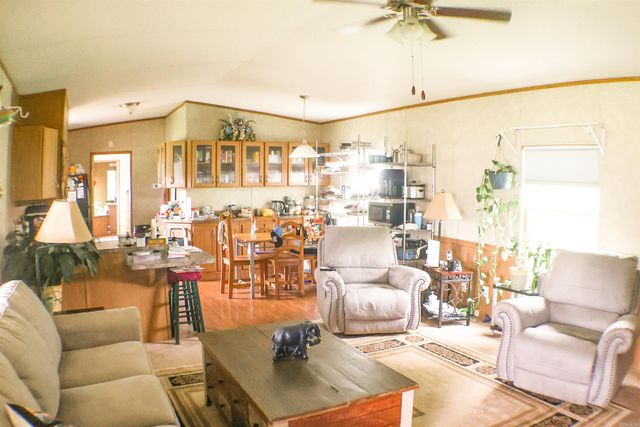 579 Thunder Mountain Road, Caddo Gap, AR 71935