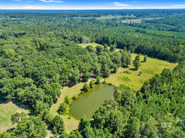 63998 STATE HIGHWAY 59, Stockton, AL 36579