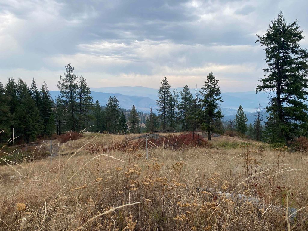 34 Peace Ridge Way, Kettle Falls, WA 99141 photo 11