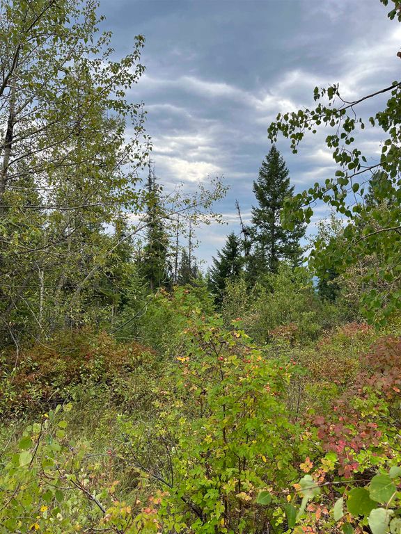 34 Peace Ridge Way, Kettle Falls, WA 99141 photo 14