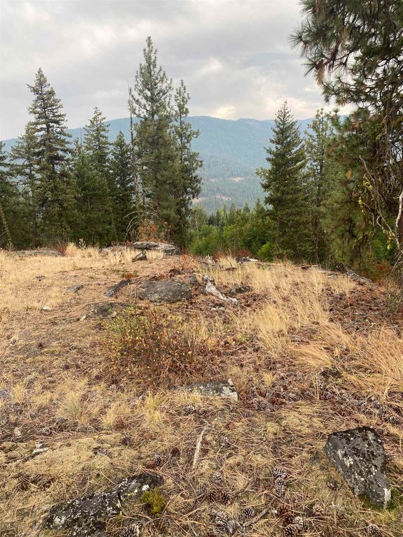 34 Peace Ridge Way, Kettle Falls, WA 99141 photo 19